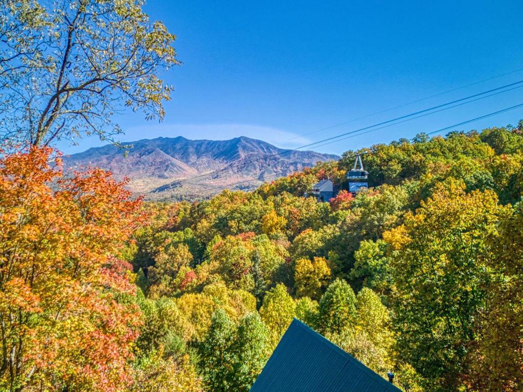 Villa Four Bears Den Gatlinburg Exterior foto