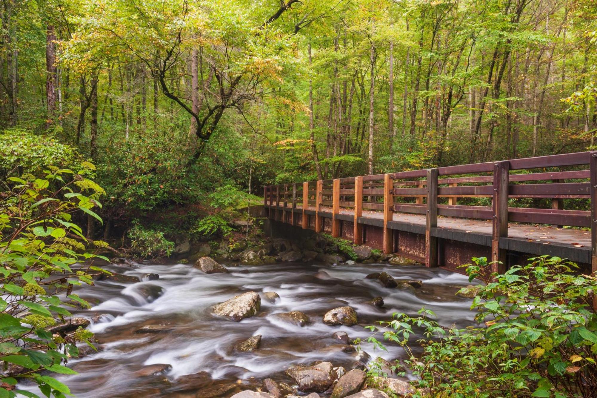 Villa Four Bears Den Gatlinburg Exterior foto